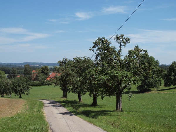 Bild Nr. 16